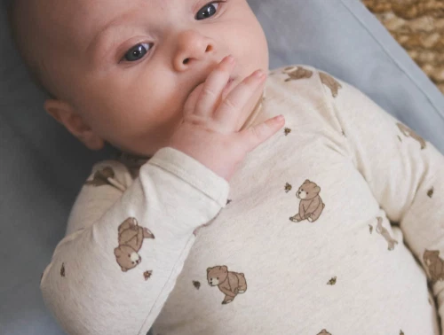 That\'s Mine bodystocking i alpaca star med print af bier og bjørne