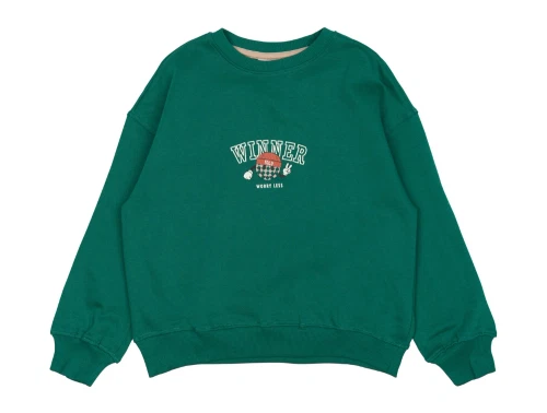 THE NEW sweatshirt grøn med stort winner print foran