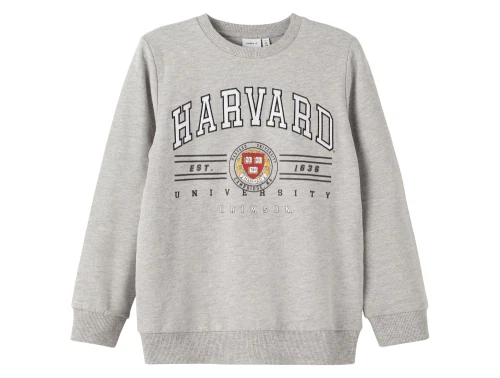 Name It sweatshirt grey melange harvard university