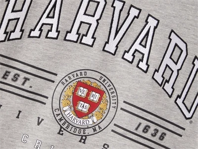Name It sweatshirt grey melange harvard university
