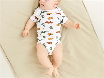 Name It laurel wreath dino body (3-pak)