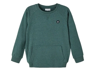 Name It sea moss sweatshirt
