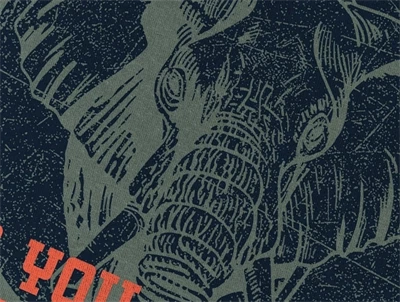 Name It t-shirt laurel wreath animal planet