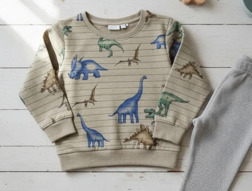 Name It silver sage dino sweatshirt