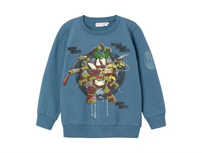 Name It bluefin Turtles sweatshirt