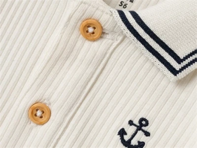 Name it jet stream polo body