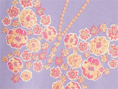 Name It purple rose butterfly top