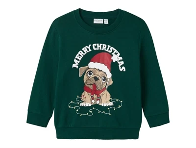 Name It botanical garden jul sweatshirt