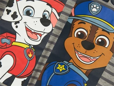 nærbillede af Paw Patrol print på gråstribet top fra Name It