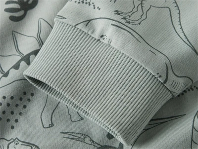 ribkant på ærme af grøn sweatshirt med dino-print fra Name It