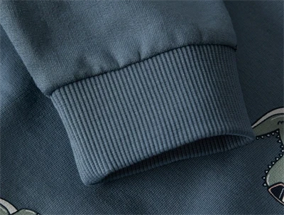 ribkant på blå sweatshirt med dino-surf print fra Name It