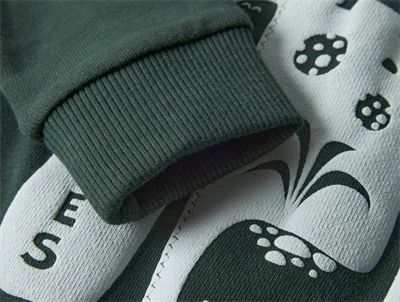 name it sweatshirt i grøn nuance med dinosaur print