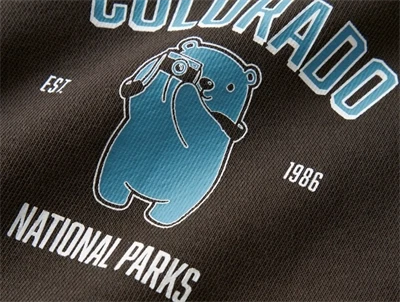 name it sweatshirt i brun nuance med colorado print