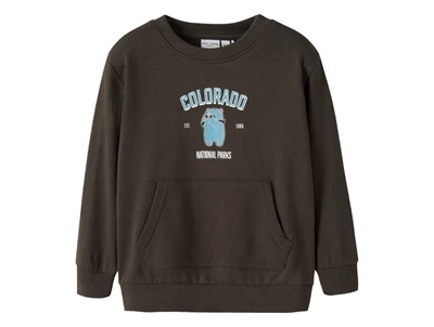 name it sweatshirt i brun nuance med colorado print