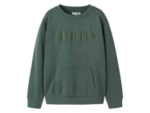 Name It sweatshirt i grøn nuance set forfra