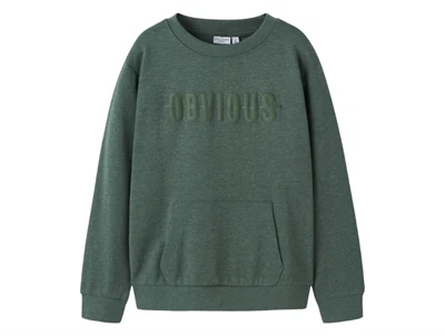 Name It sweatshirt i grøn nuance set forfra