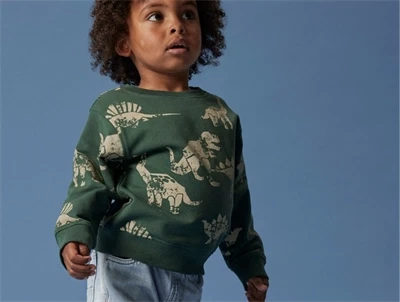 Name It MINI sweatshirt mørkegrøn med dinosaurprint