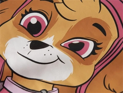 Name It MINI sweatshirt i rosa nuance med Paw Patrol print og flæser