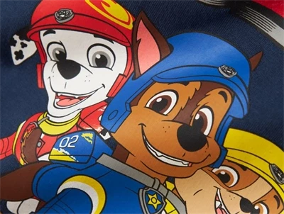 Name It MINI sweatshirt i mørkeblå nuance med Paw Patrol print