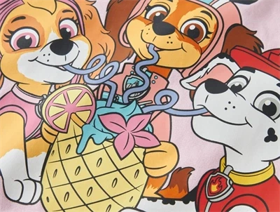 Name It t-shirt pirouette Paw Patrol print detalje