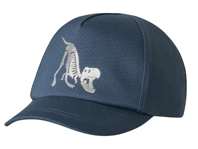 Name It kasket blå med dinosaur skeletprint foran