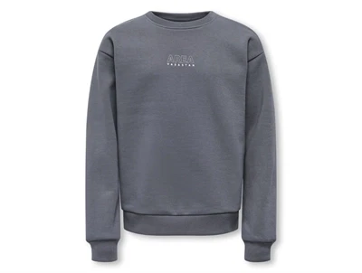 Kids Only sweatshirt blackened pearl vasastan