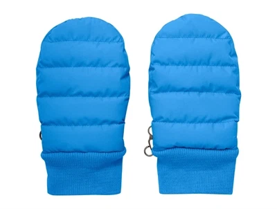 En Fant luffer i star sapphire med ribkant set forfra