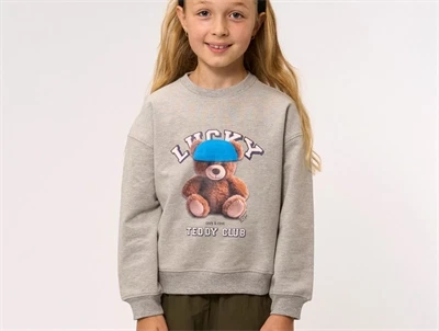 Pige iført grå sweatshirt fra THE NEW med teddy print