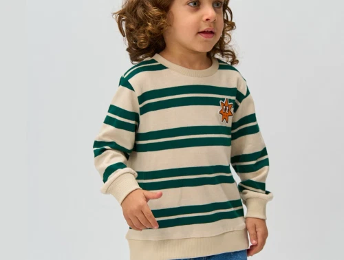 THE NEW siblings stribet sweatshirt med stjernemotiv