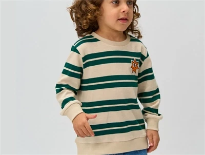 THE NEW siblings stribet sweatshirt med stjernemotiv